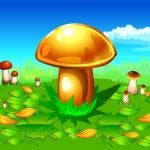 Mushroomers 