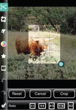 Photogene