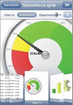 QlikView