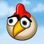 Little Bird