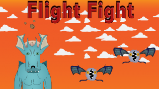 Flight Fight