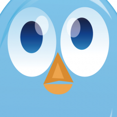 Press Release - BirdEyes : a Double Take on Twitter Photography