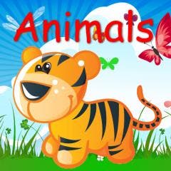 Get your own Animal Story Now !