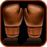 Boxthebag