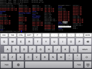 vSSH - advanced SSH and Telnet client