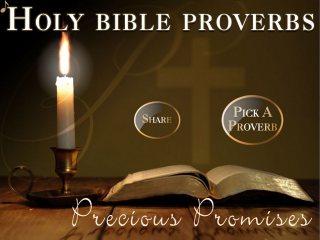 Holy Bible Proverbs (KJV) 