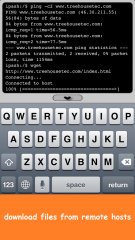 ipash ME, the command line shell for iPhone is available on the AppStore
