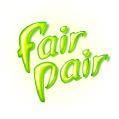 FairPair - a puzzle suited for childeren