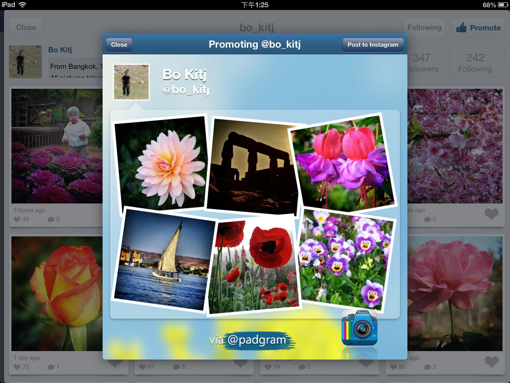 Padgram 2.6 for iPad-Top Instagram Viewer Creates Eye-Catching Shoutouts