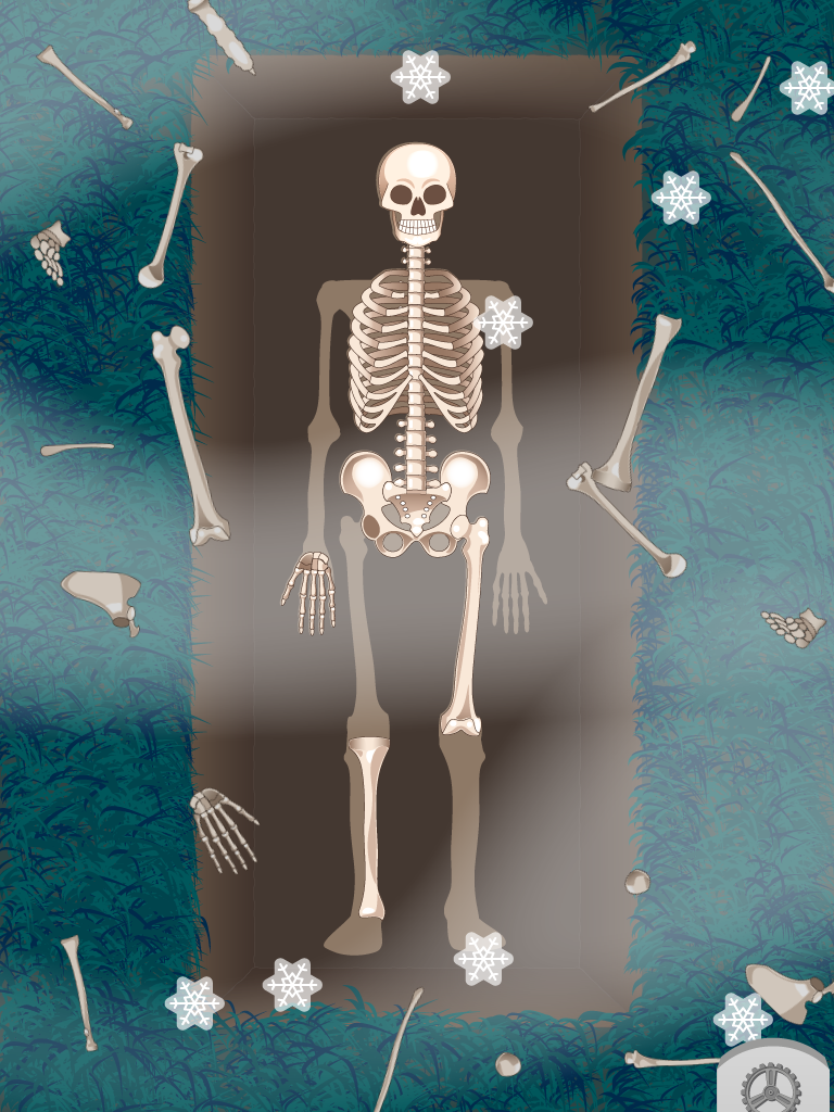 Make sure your kids fully learn about the human skeleton with D. Bones