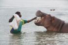 Hungry Hippos