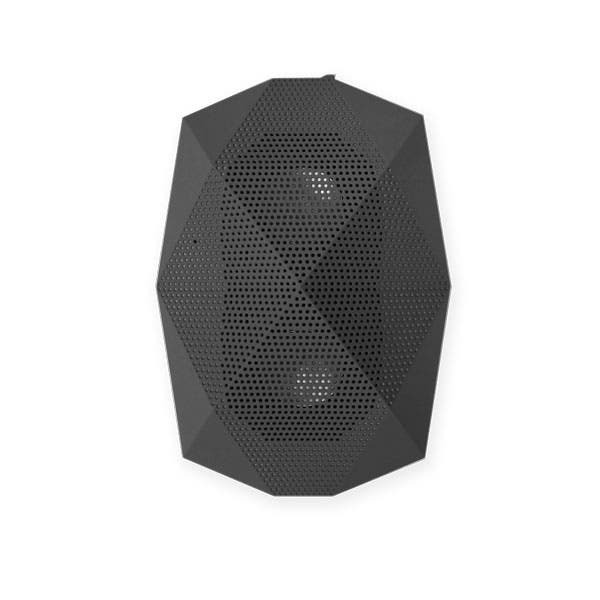 The Rugged Turtle Shell BoomBox. Big sound, Little speaker