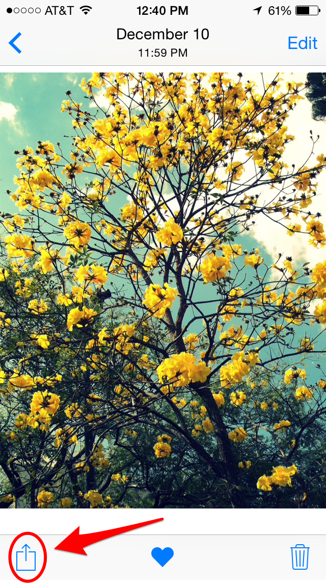 Tip of the Day How to Play Slideshows from the Photos App