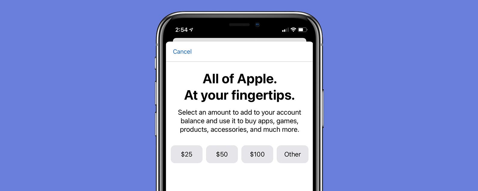 How To Add Funds To Your Apple ID Account On An IPhone IPad Or Mac