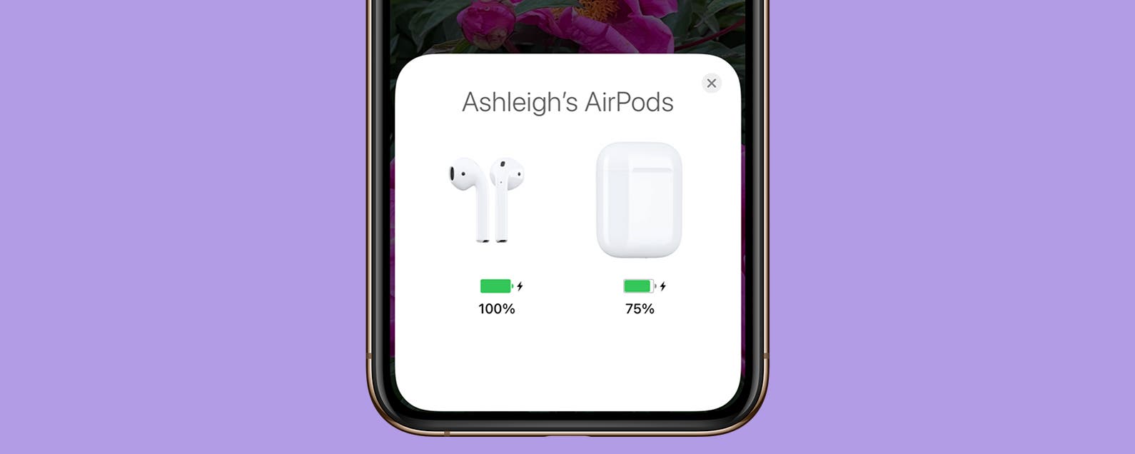 Observatory particle Moderator AirPods Not Charging? Easy Solutions for AirPods & AirPod Cases (2022)