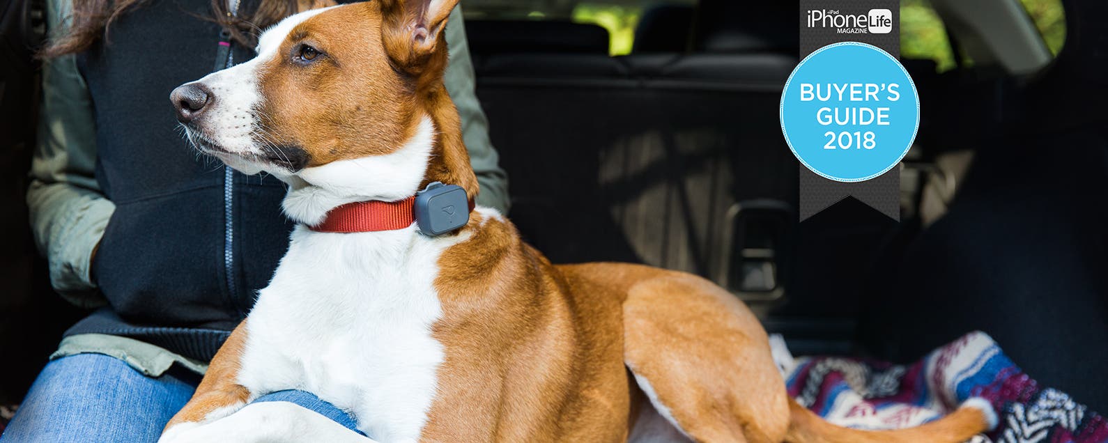 Smart Pet Tech: Take Care of Your Furry Friends with These Great Finds