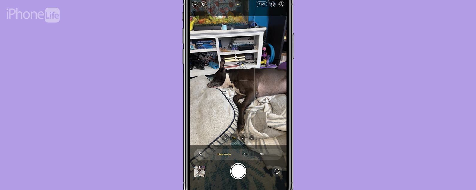 Why Is My iPhone Camera Blinking & How to Fix It