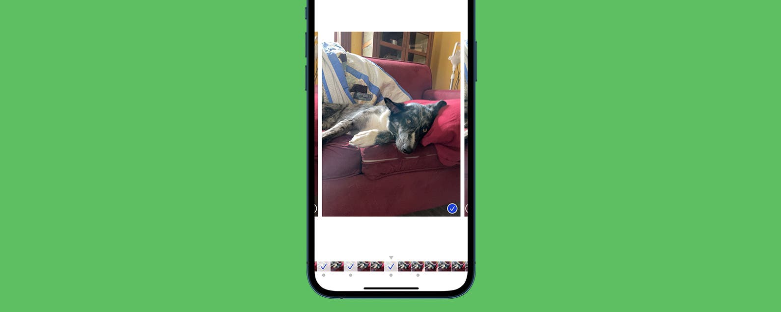 How to Take, View, & Save Burst Photos on iPhone