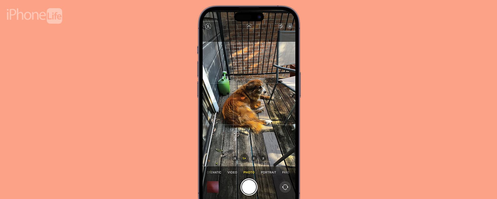 Why Is My iPhone Camera Shaking & How to Fix It