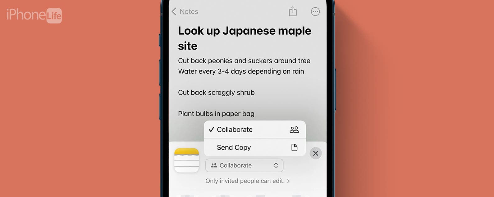 How to add screenshots from iOS Store links in the iPhone Notes