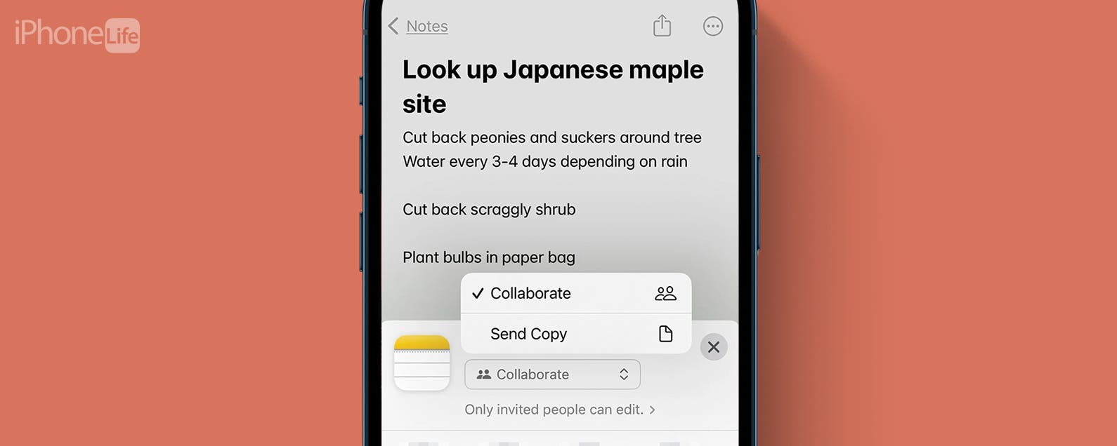 How to access your iPhone Notes on Windows PC