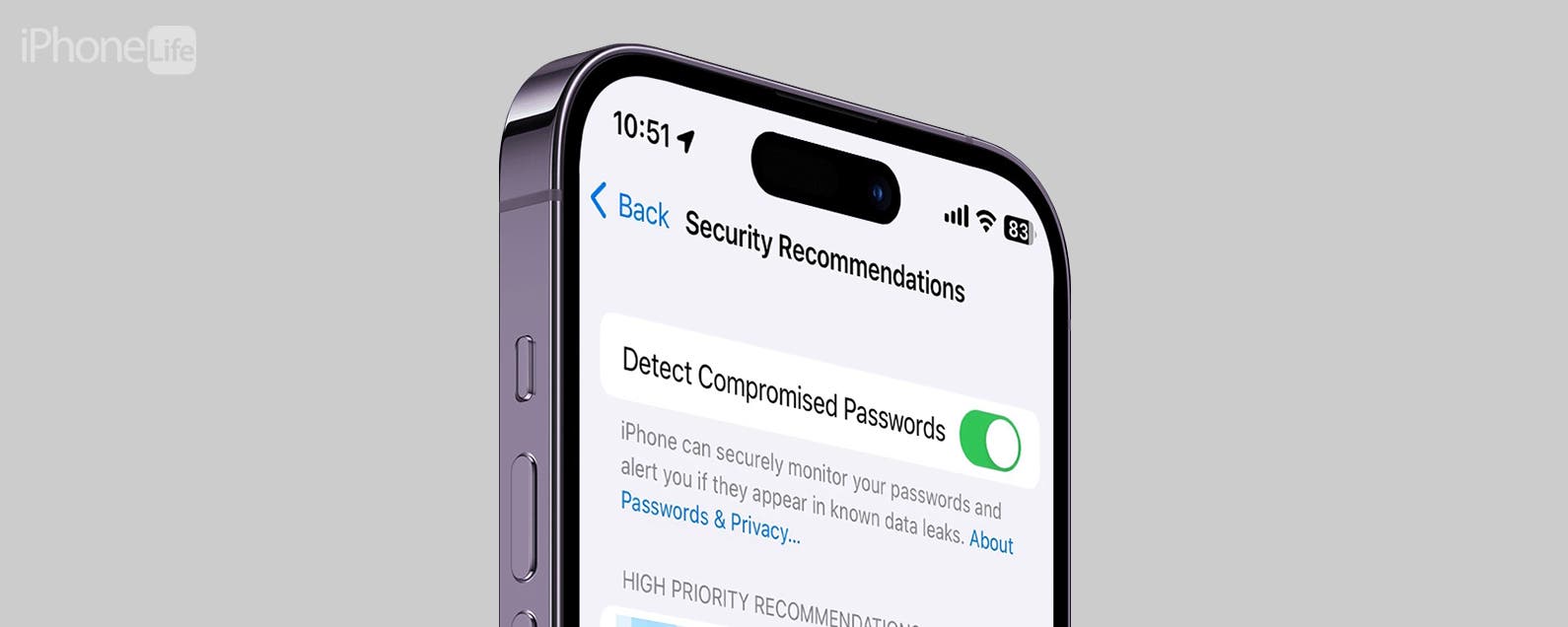 What Are Compromised Passwords on iPhone?
