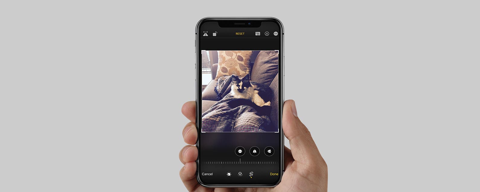 photo cropper app