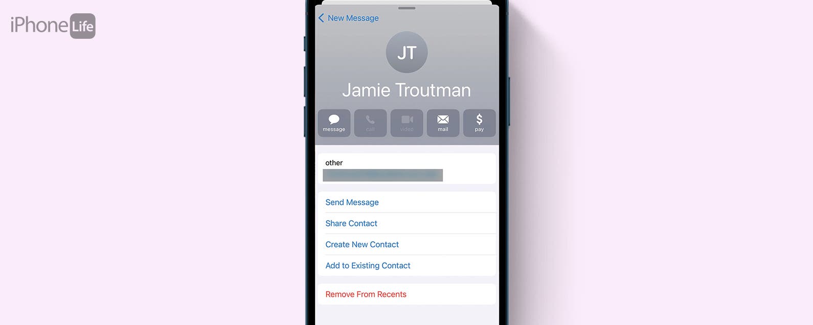 delete suggested email address iphone