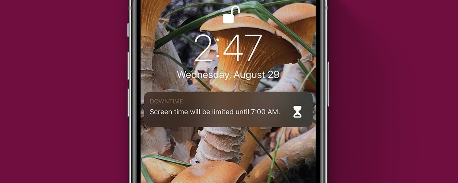 How To Set Downtime In Screen Time Settings On Your Iphone Ipad