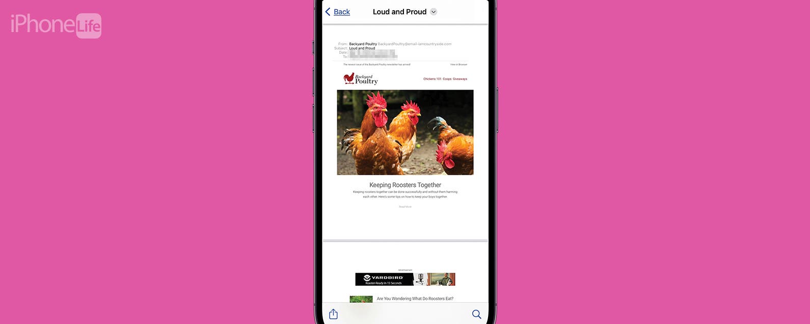 How To Save An Email As A PDF On Your IPhone IPad how-to-save-iphone-notes-as-pdf-save-apple-notes-as-pdf