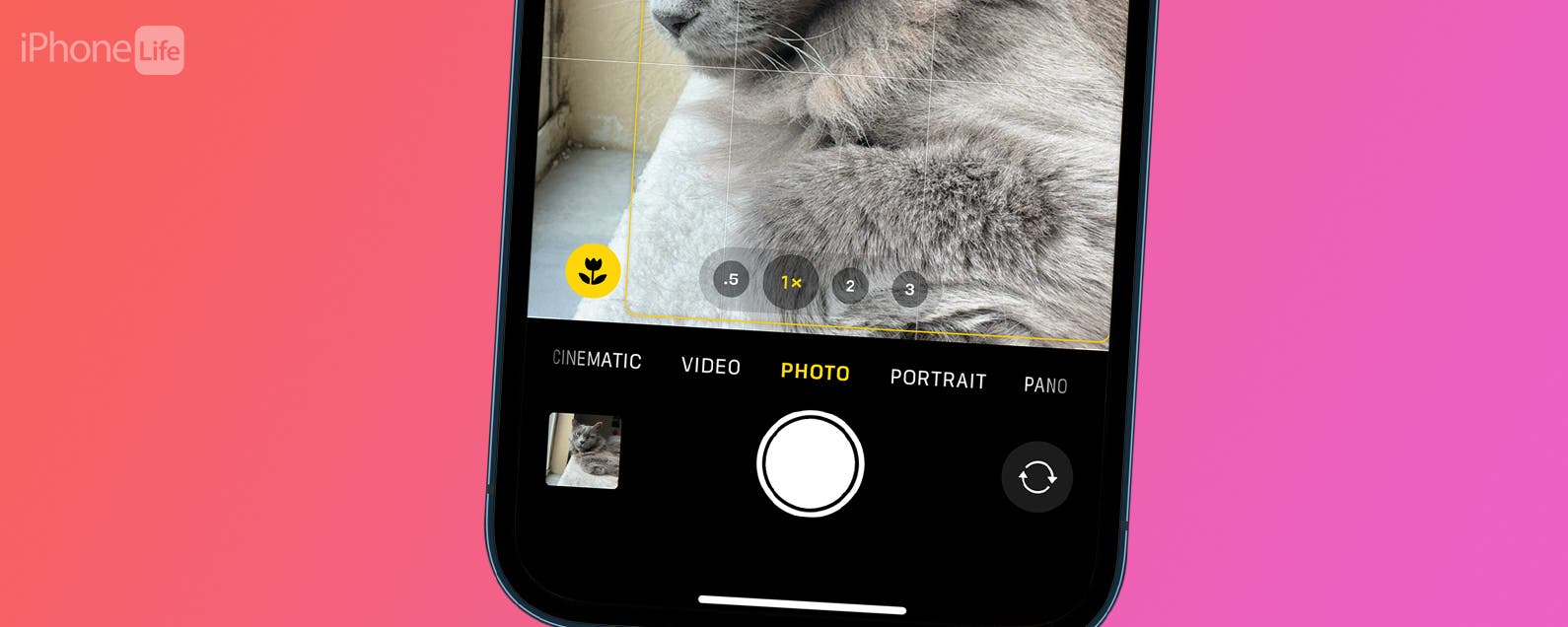 Answered What Is the Flower on iPhone Camera?