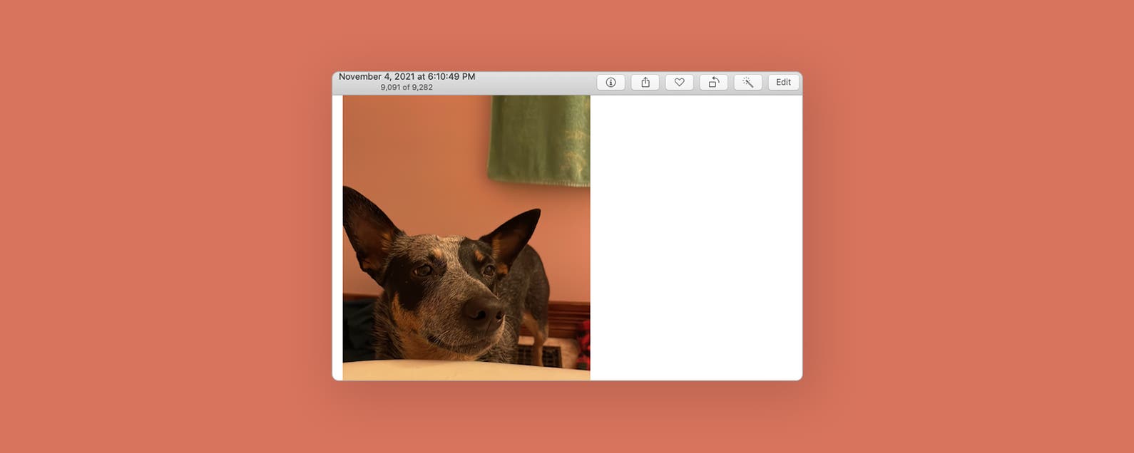How to Put a Filter on a Photo or Video on Mac