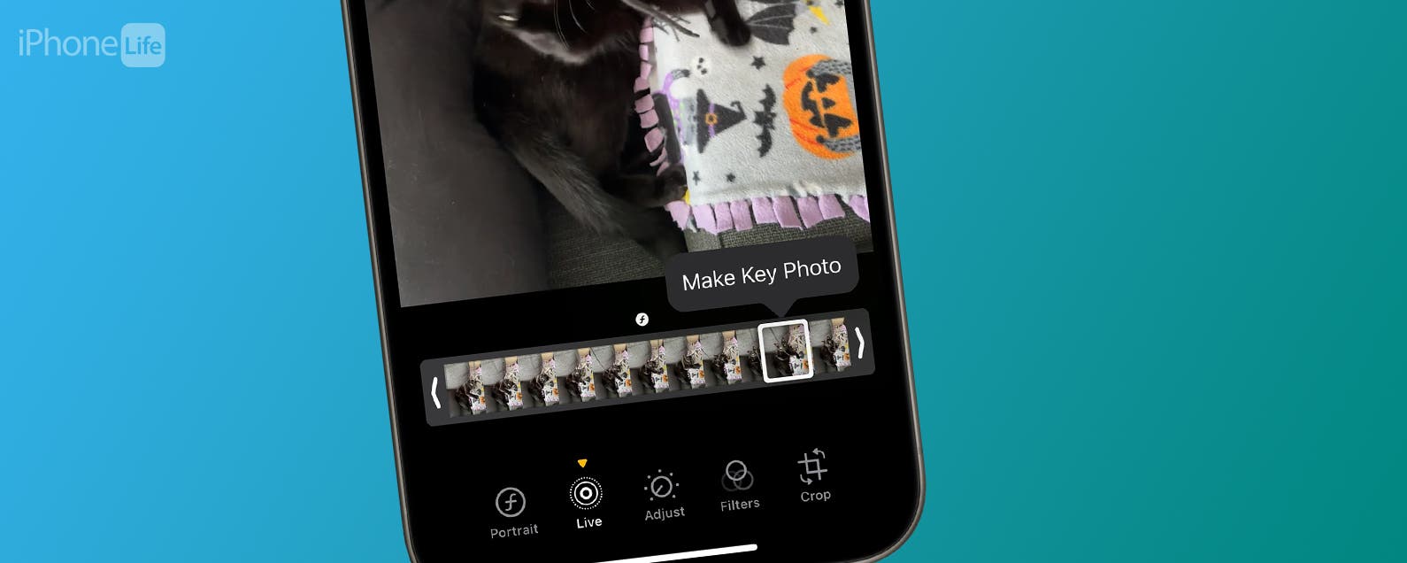 How to Select a Frame from a Live Photo