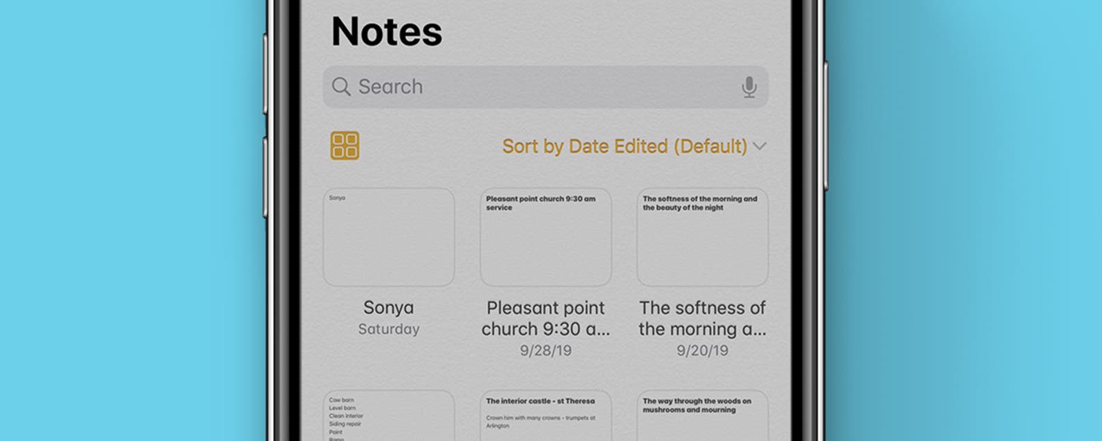 How to view notes in gallery view in the notes app