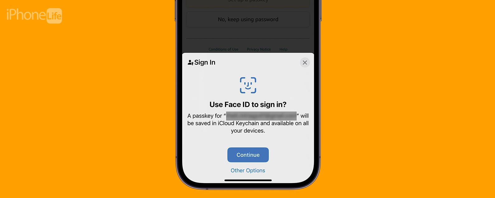 How Do Passkeys Work & How to Use Them on iPhone