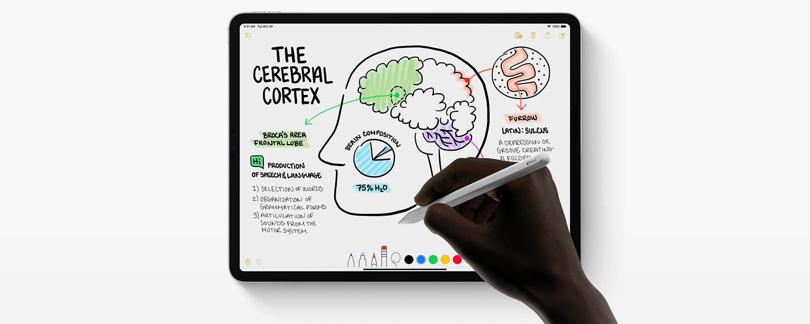 Tips for Drawing with an Apple Pencil