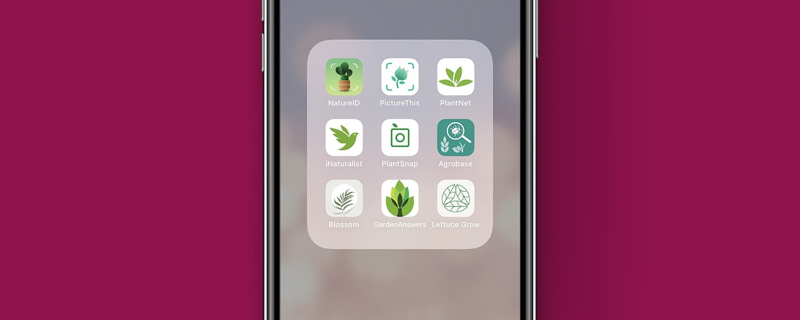 7 Best Plant Identification Apps for Your Home, Garden & Wild Plants