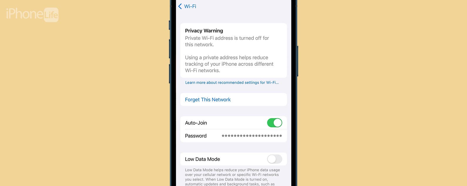 WiFi Privacy Warning on an iPhone What It Means & What to Do