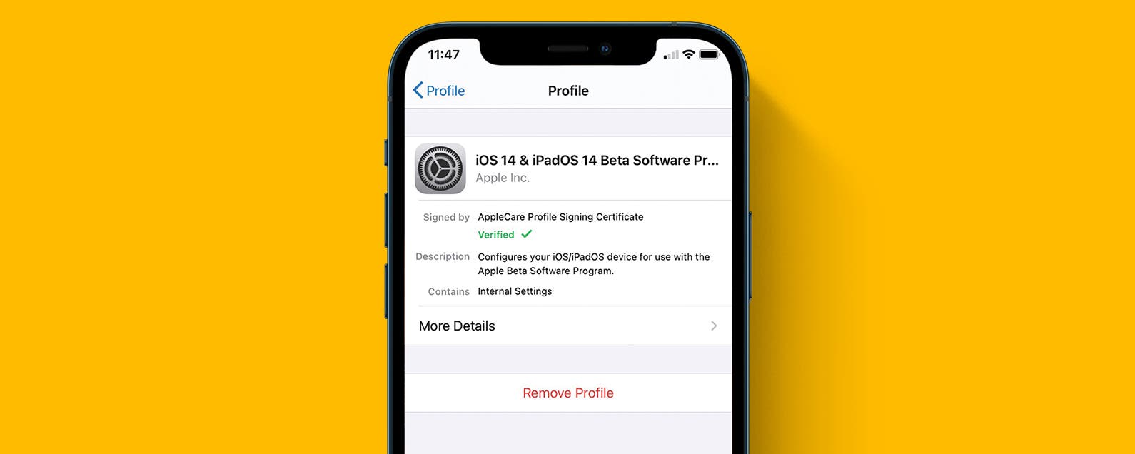 how to uninstall remove ios 15 beta from your iphone