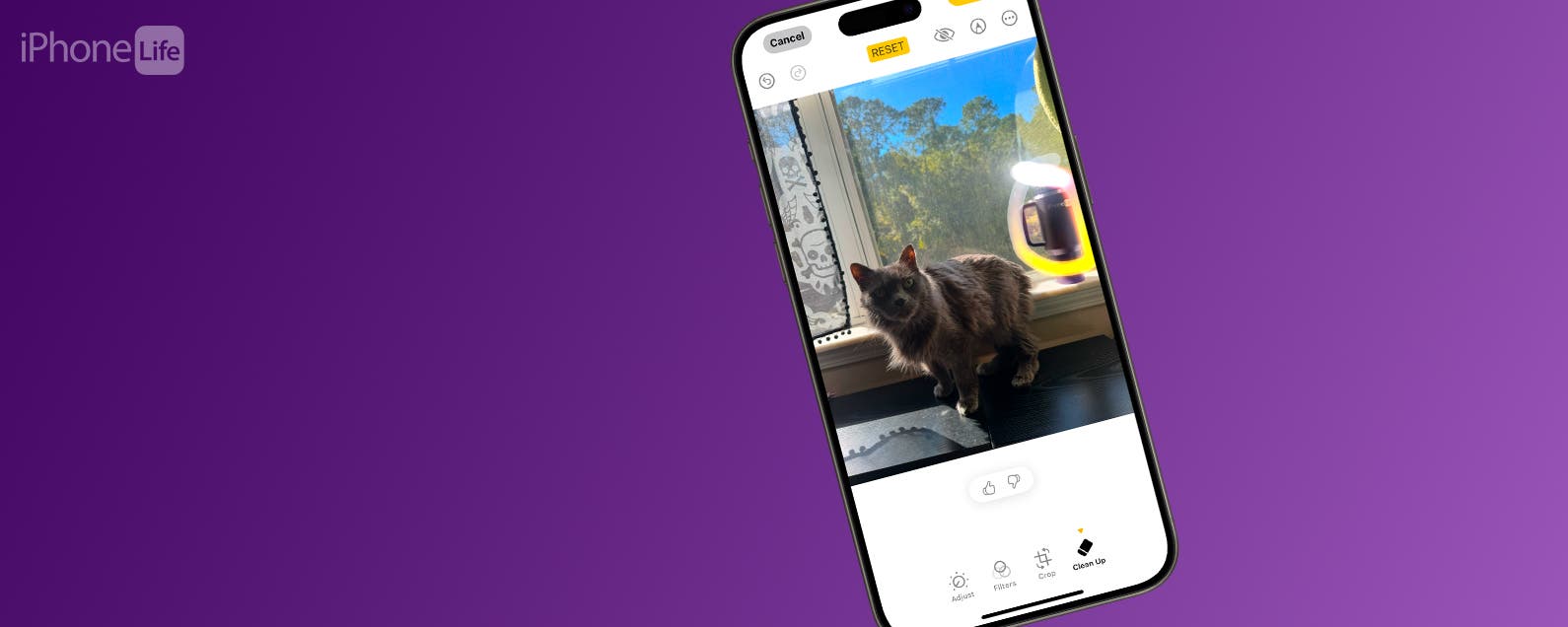 How to Remove People from Pictures iPhone Easily How to Remove People from Pictures iPhone Easily