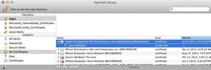 Select Certificate and Key