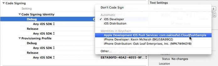 Set code signing identity