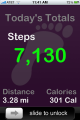 Pedometer