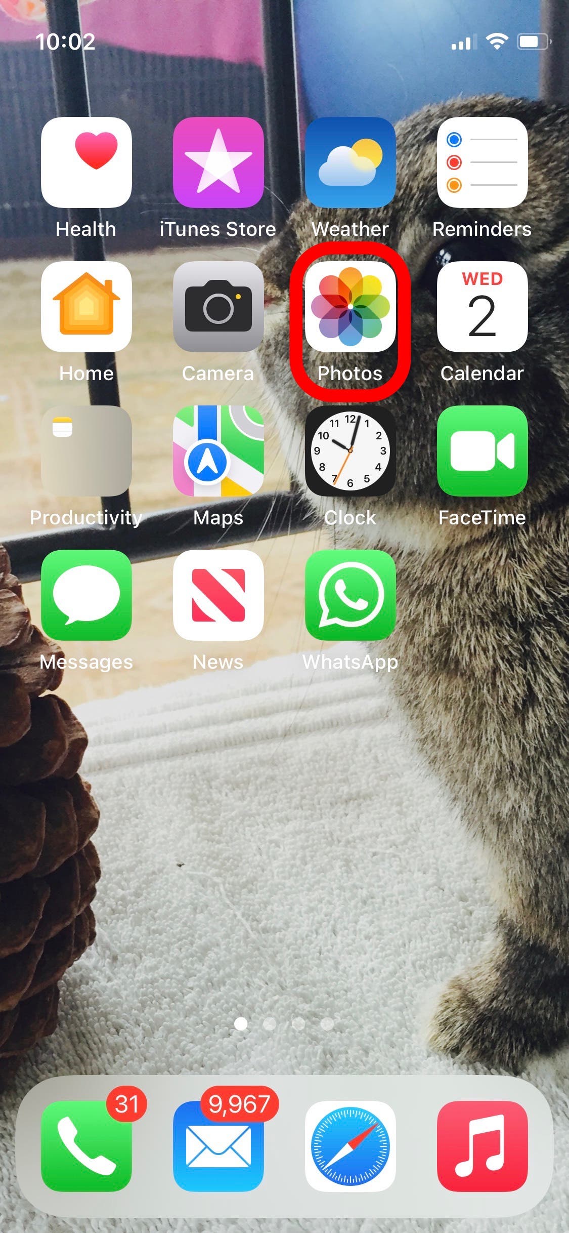 How to Resize Photos on iPhone by Cropping to a Specific Ratio How to Resize Photos on iPhone by Cropping to a Specific Ratio