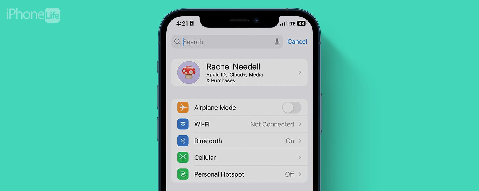 How to Search the Settings on Your iPhone