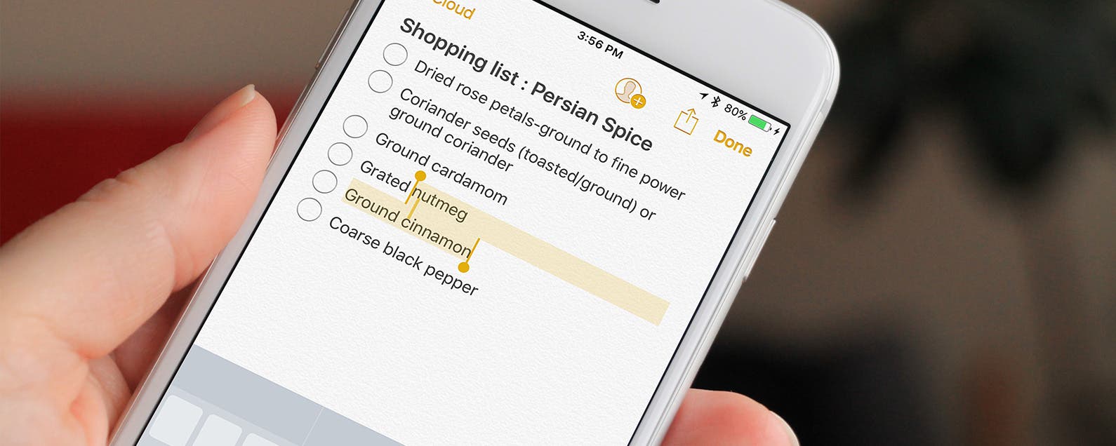 iphone text editor iphone text editor