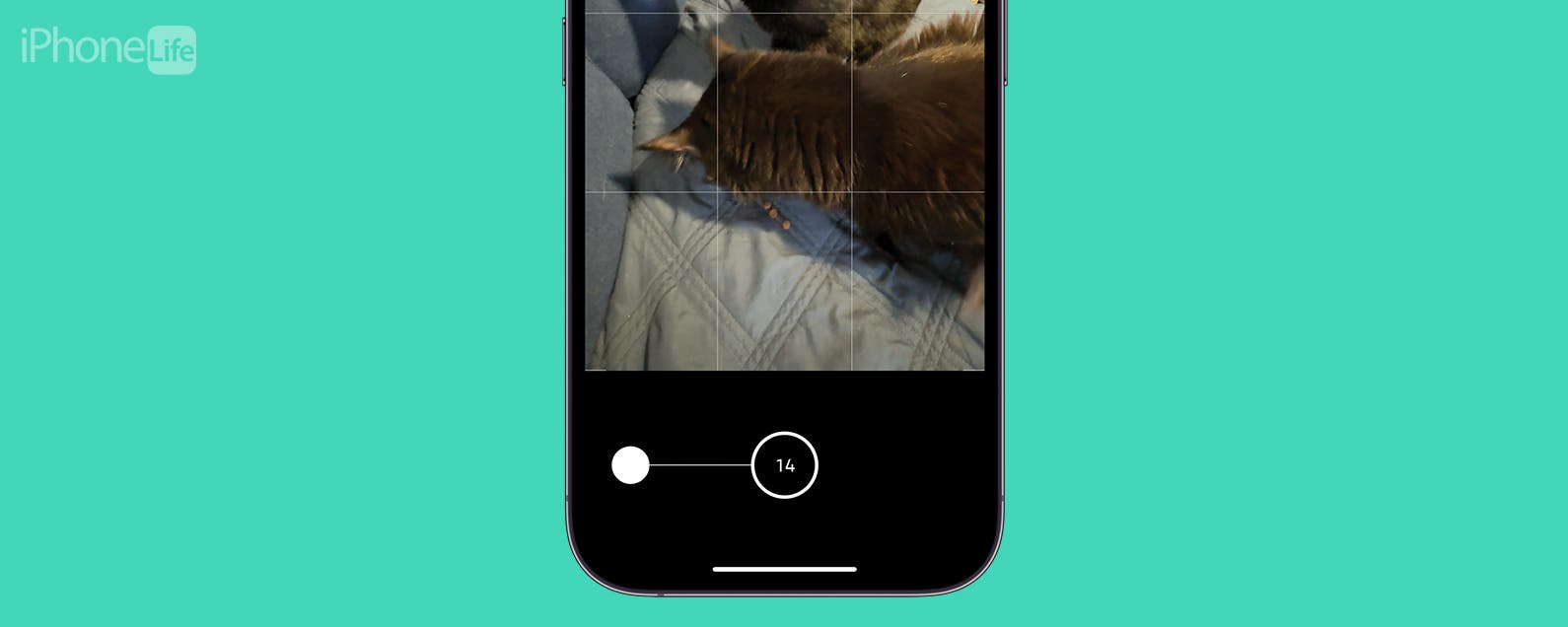 7 Best iPhone Camera Shutter Button Tricks & Secrets