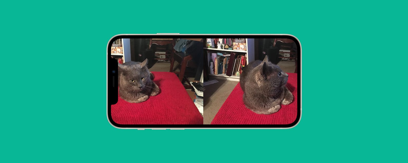 How to Put 2 Pictures Side-by-Side on iPhone (2023)