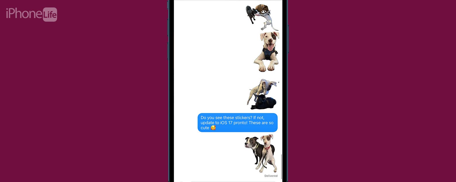 How to Fix Live Stickers Not Working on iPhone