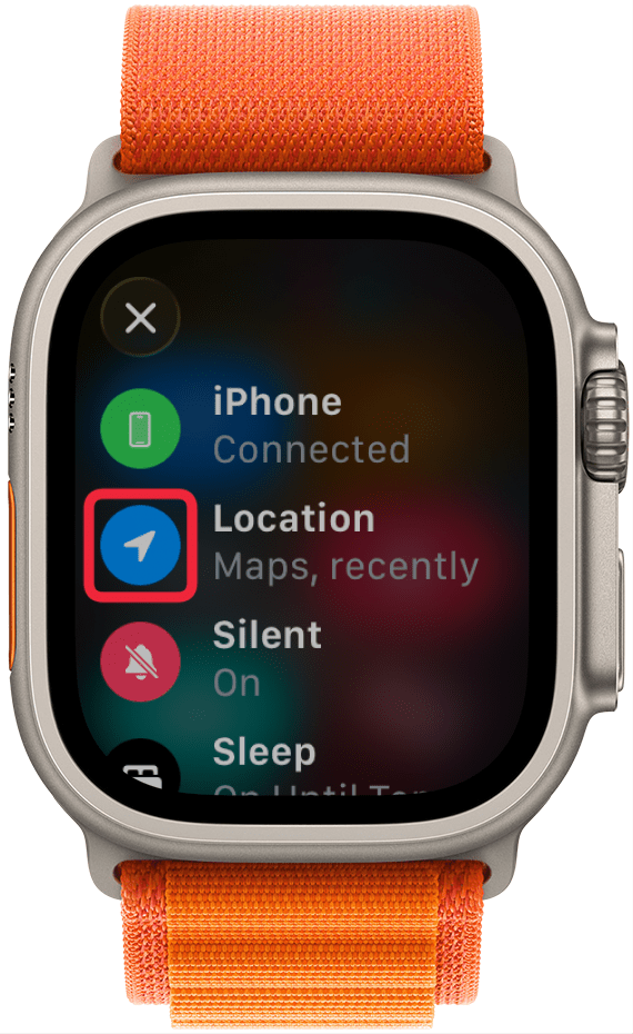If you see a blue arrow, it means an app on your Apple Watch has used Location Services recently.